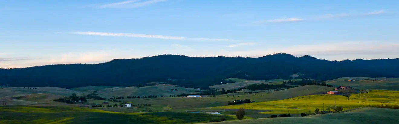 Moscow Mountain above rolling Palouse wheat and canola fields on a June evening, with farms scattered across the valley.